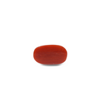 Red Coral - 10.1 Carat