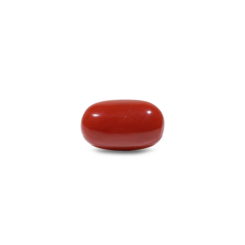 Red Coral - 12.7 Carat - Pramogh