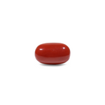 Red Coral - 12.7 Carat - Pramogh