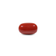 Red Coral - 12.7 Carat - Pramogh