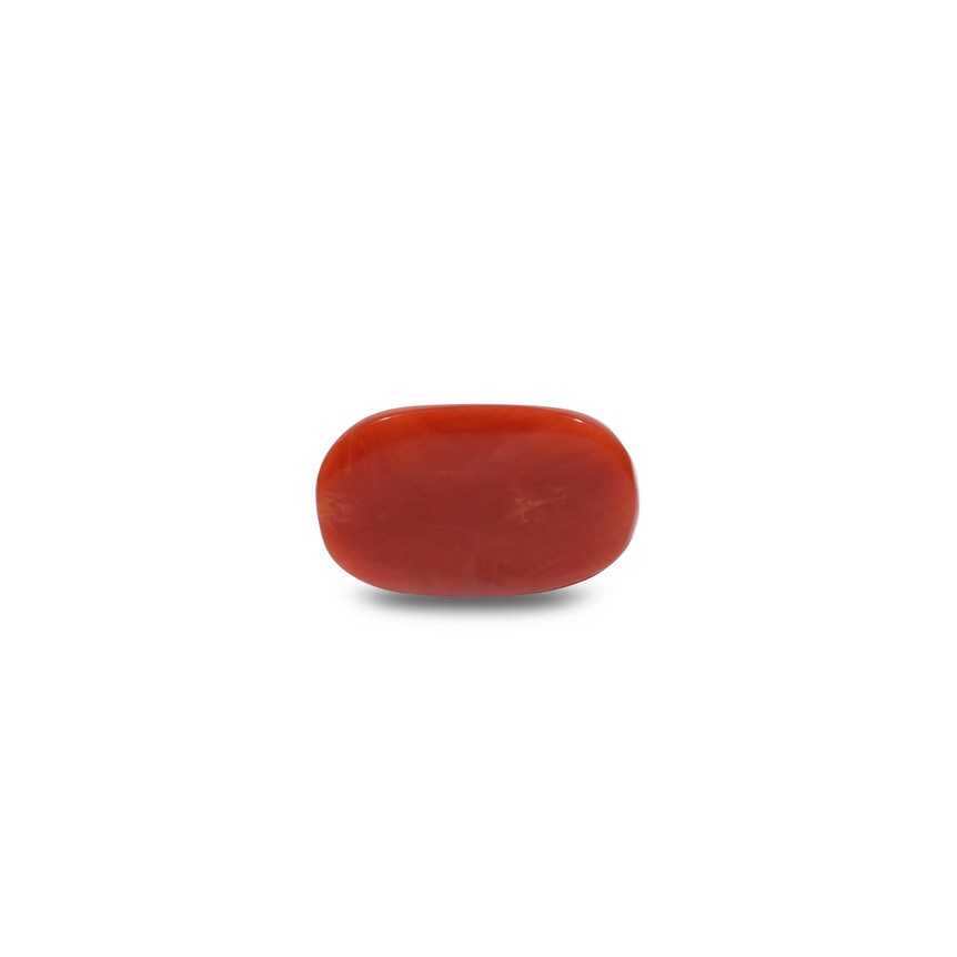 Red Coral - 12.7 Carat