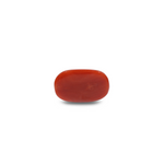 Red Coral - 12.7 Carat