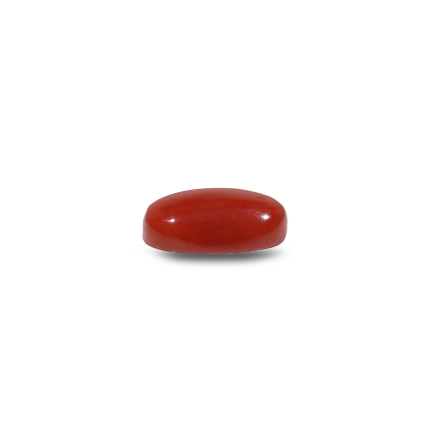Red Coral - 12.7 Carat