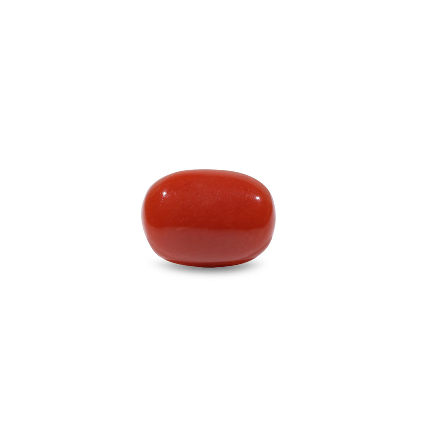 Red Coral - 8.1 Carat - Pramogh