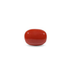 Red Coral - 8.1 Carat - Pramogh