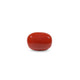 Red Coral - 8.1 Carat - Pramogh