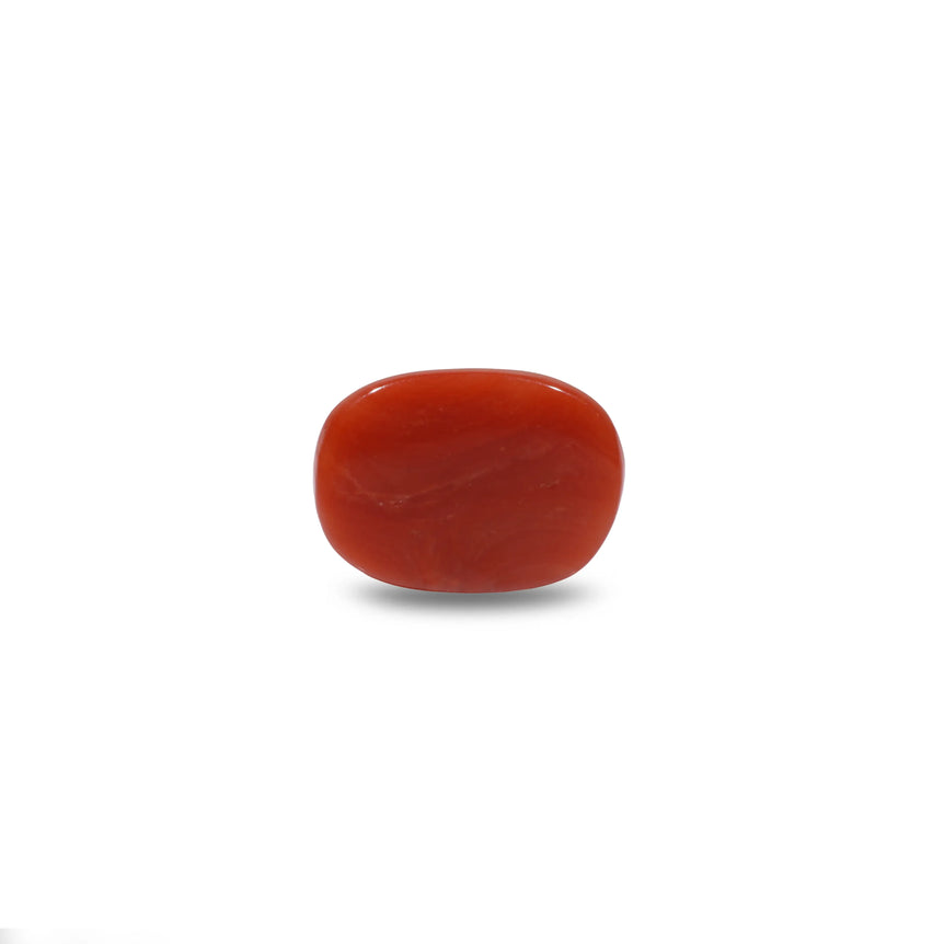 Red Coral - 8.1 Carat