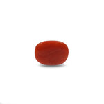 Red Coral - 8.1 Carat