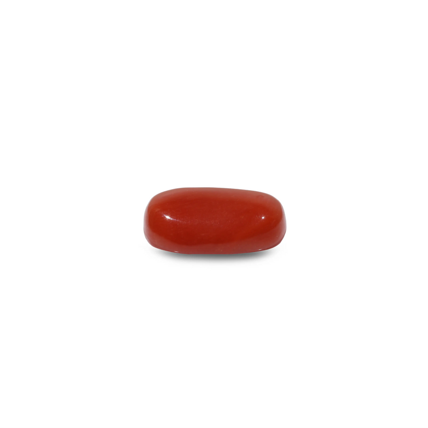 Red Coral - 8.1 Carat