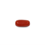 Red Coral - 8.1 Carat
