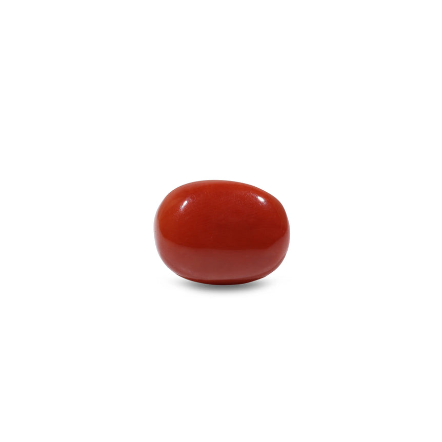 Red Coral - 11.25 Carat - Pramogh