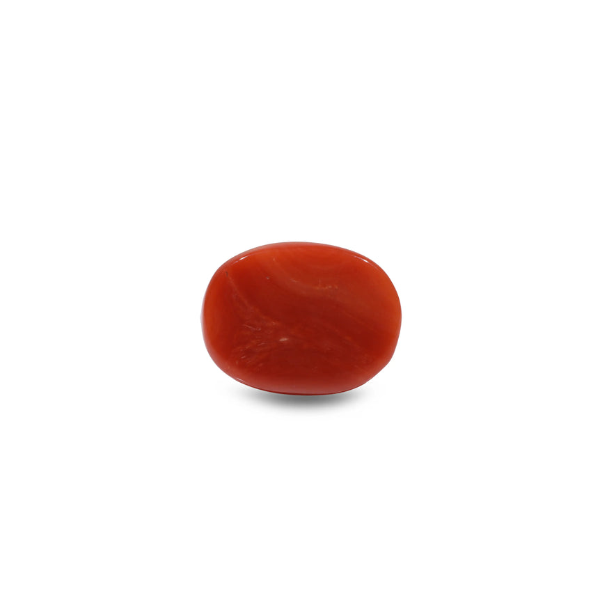Red Coral - 11.25 Carat