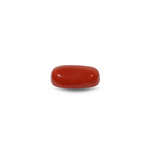 Red Coral - 11.25 Carat