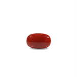 Red Coral - 8 Carat - Pramogh