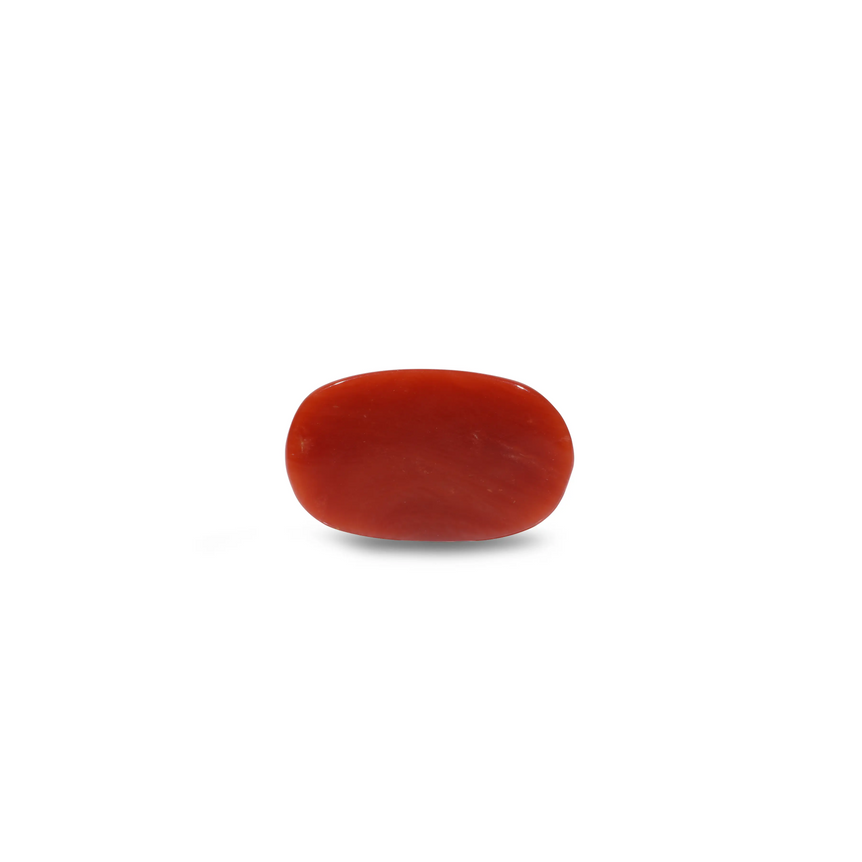 Red Coral - 8 Carat