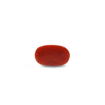 Red Coral - 8 Carat