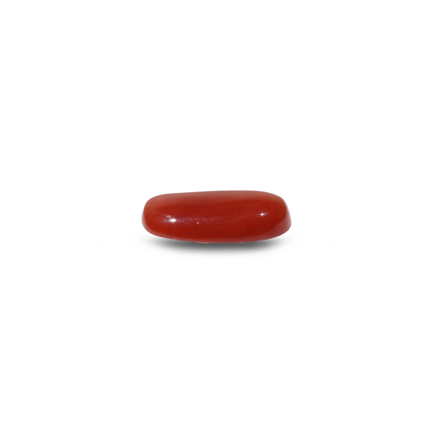 Red Coral - 8 Carat