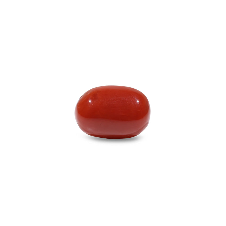 Red Coral - 9.9 Carat - Pramogh