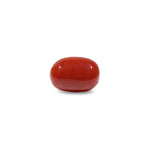 Red Coral - 9.9 Carat - Pramogh