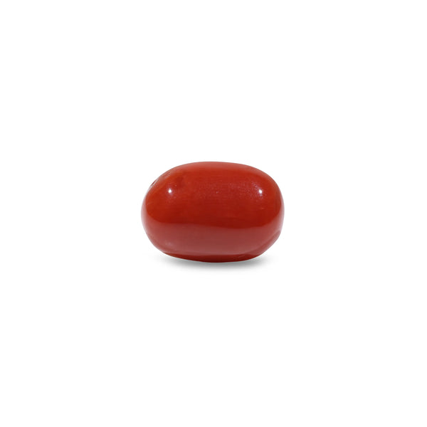 Red Coral - 9.9 Carat - Pramogh