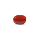 Red Coral - 9.9 Carat - Pramogh