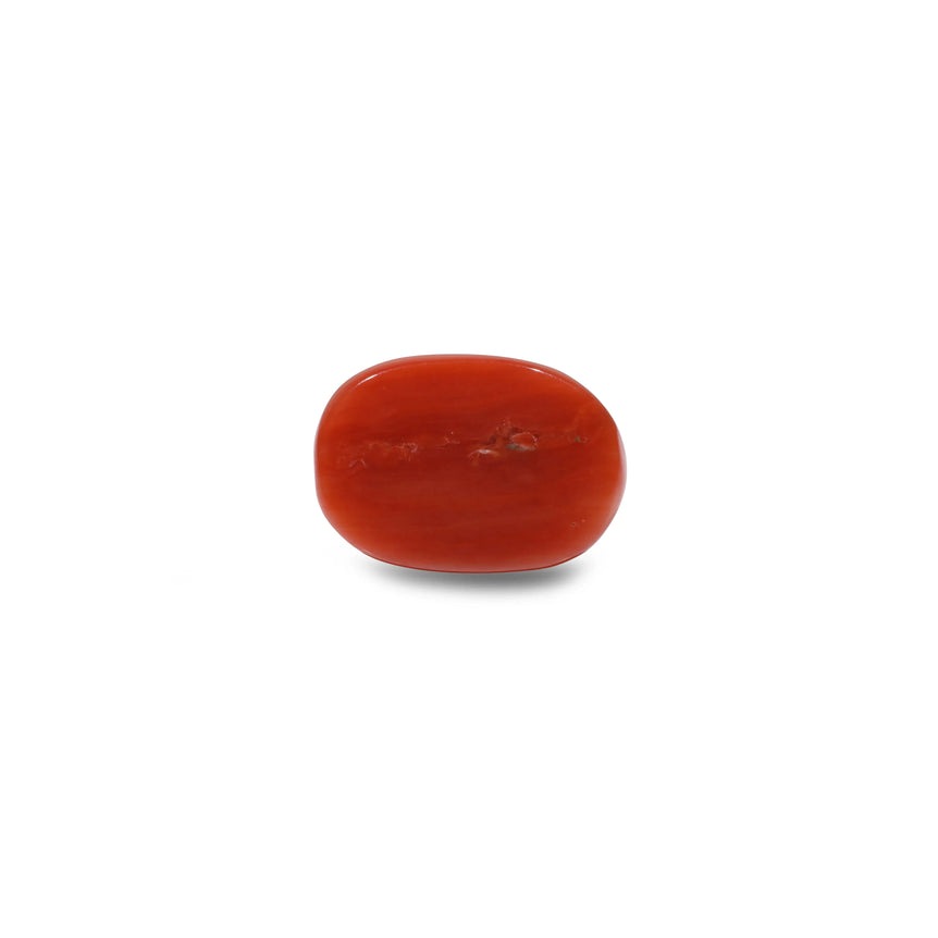 Red Coral - 9.9 Carat