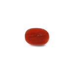 Red Coral - 9.9 Carat
