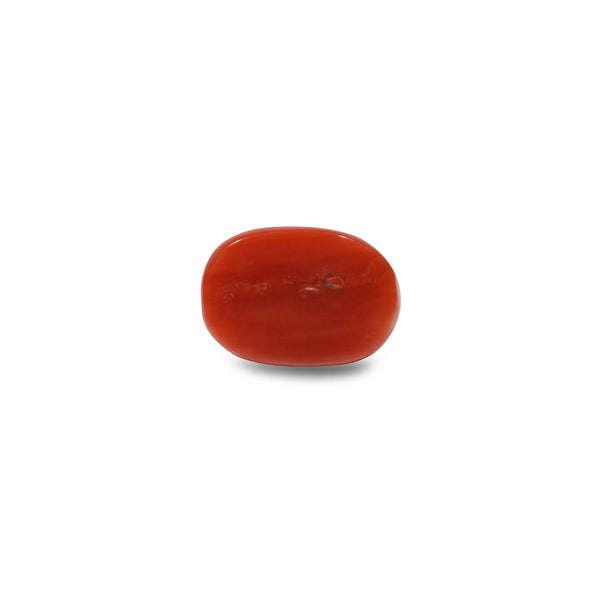 Red Coral - 9.9 Carat
