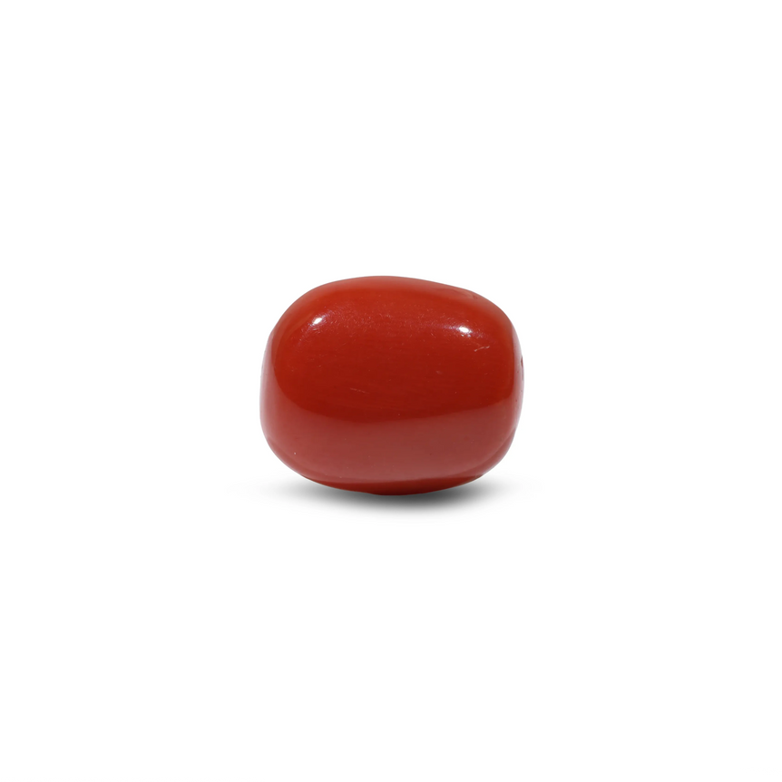 Red Coral - 8.45 Carat - Pramogh