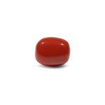 Red Coral - 8.45 Carat - Pramogh