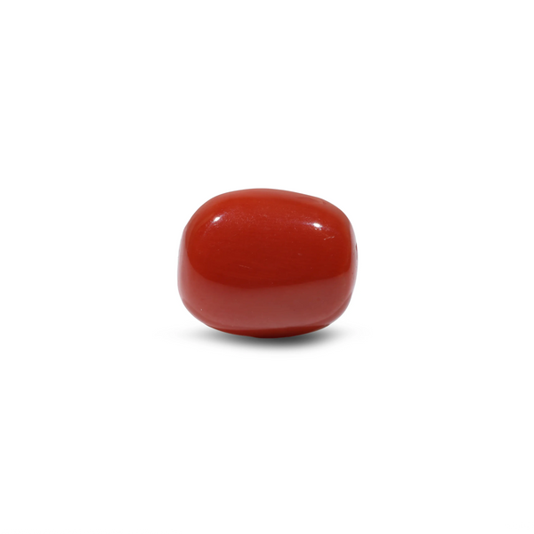 Red Coral - 8.45 Carat - Pramogh