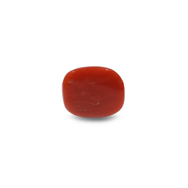 Red Coral - 8.45 Carat