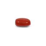 Red Coral - 8.45 Carat