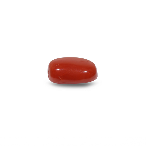 Red Coral - 8.45 Carat