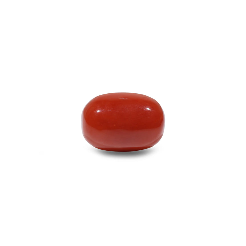 Red Coral - 11.6 Carat - Pramogh