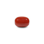 Red Coral - 11.6 Carat - Pramogh