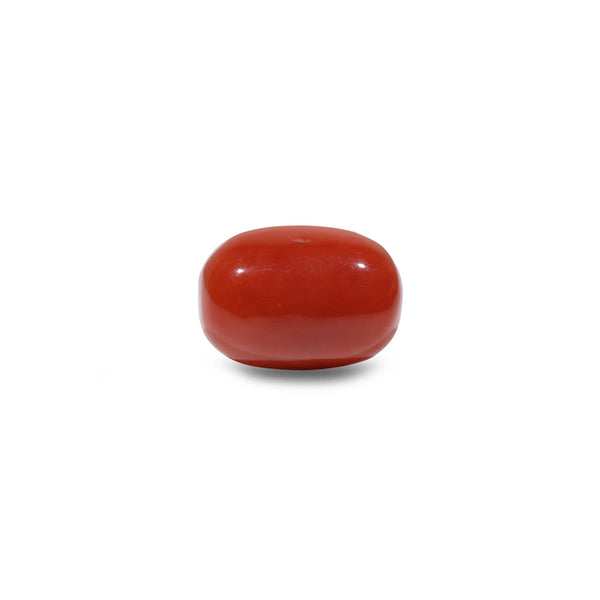 Red Coral - 11.6 Carat - Pramogh