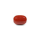 Red Coral - 11.6 Carat - Pramogh