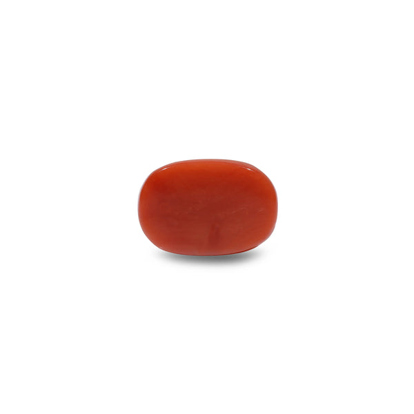 Red Coral - 11.6 Carat