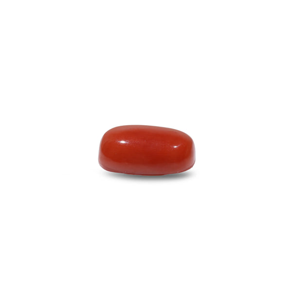 Red Coral - 11.6 Carat