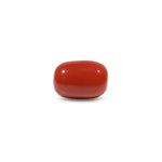 Red Coral - 10.15 Carat - Pramogh