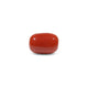 Red Coral - 10.15 Carat - Pramogh