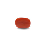 Red Coral - 10.15 Carat