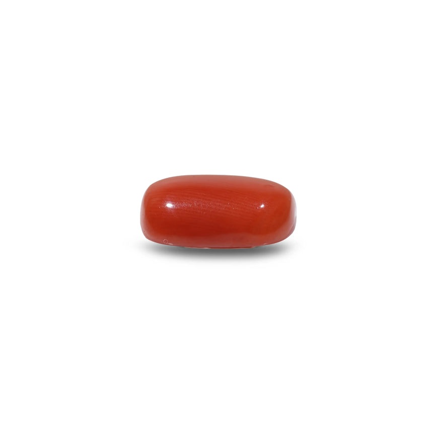 Red Coral - 10.15 Carat