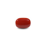 Red Coral - 8 Carat - Pramogh