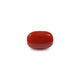 Red Coral - 8 Carat - Pramogh