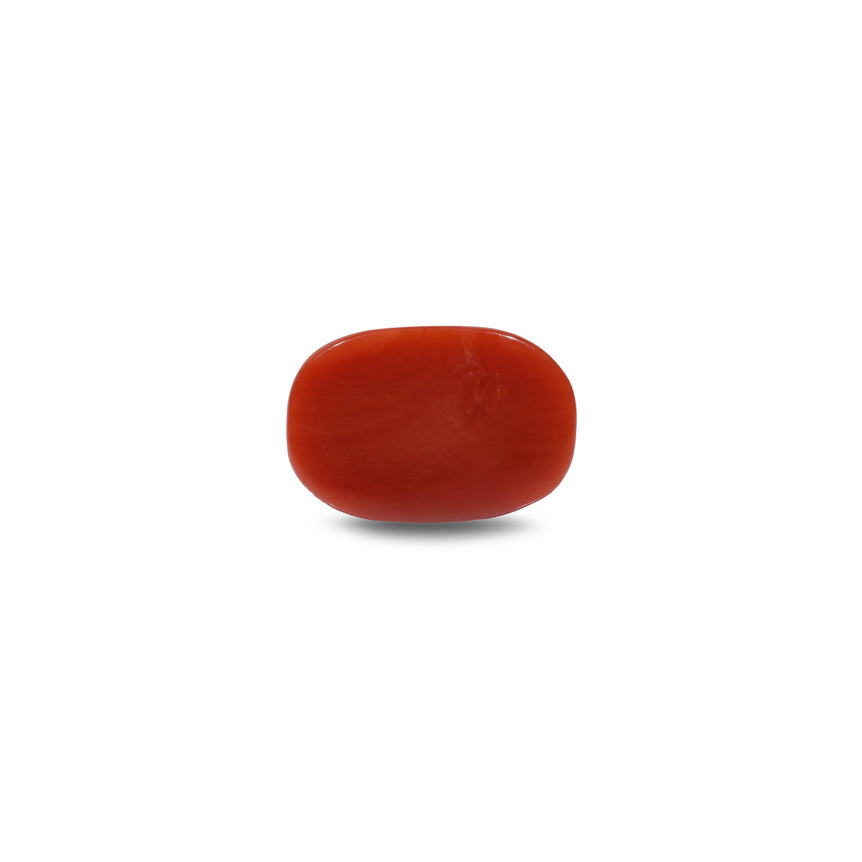 Red Coral - 8 Carat