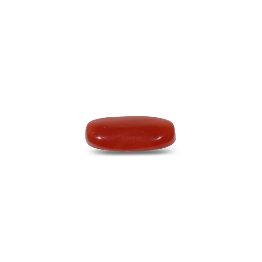 Red Coral - 8 Carat