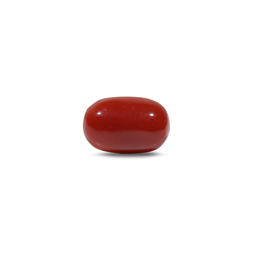 Red Coral - 7.75 Carat - Pramogh