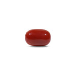 Red Coral - 7.75 Carat - Pramogh